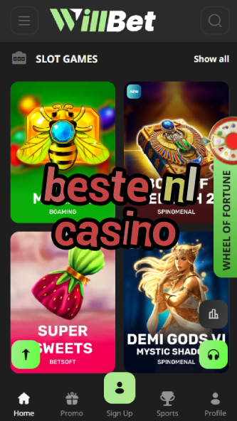 Beste NL Casino - Best Dutch Online Casino-casinoevolve.ydblkf.net